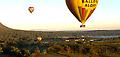 Gold Coast Hot Air Balloon Flights