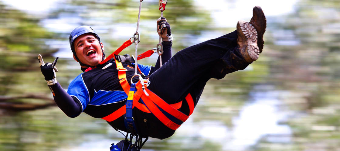 otway fly zipline tour