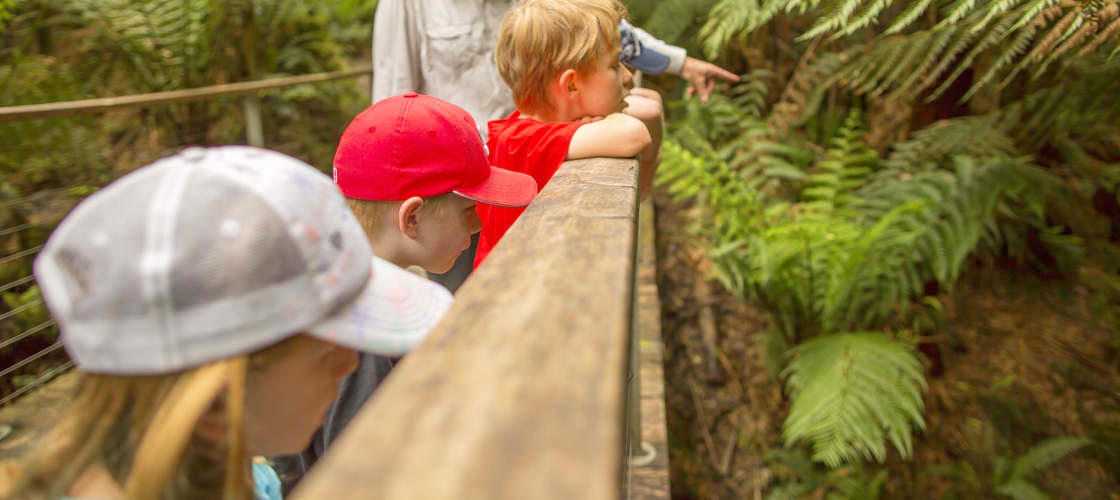 Thumbnail for gallery