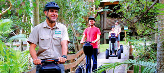 Thumbnail for gallery