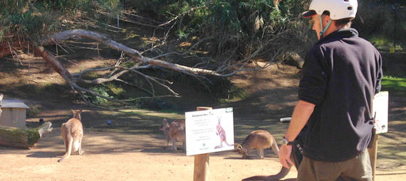 Thumbnail for gallery