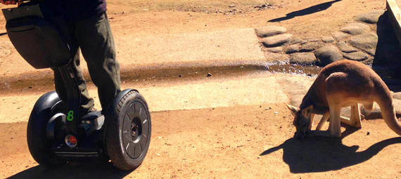 Thumbnail for gallery