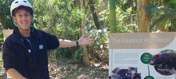 Thumbnail for gallery