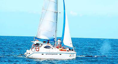 Sunshine Coast Sailing Cruises