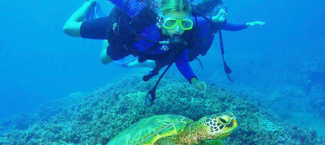 Thumbnail for gallery