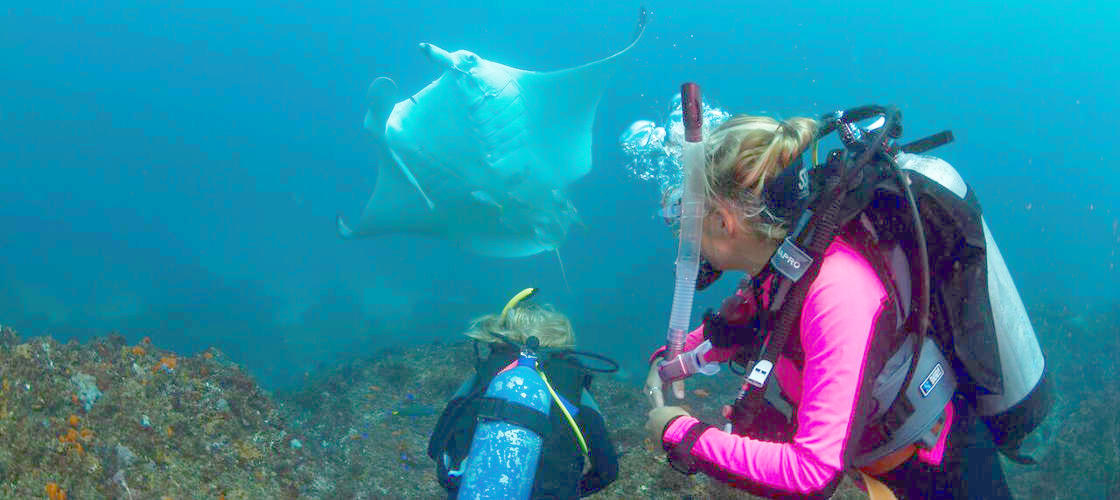 Thumbnail for gallery