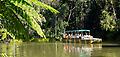 Daintree River Ferry