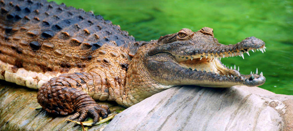 Thumbnail for gallery