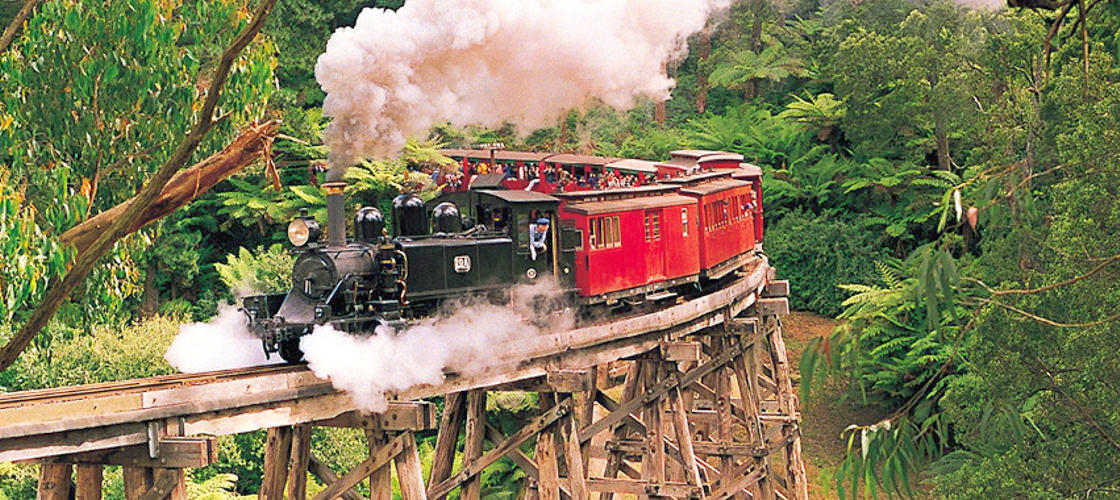 AAT Kings Puffing Billy Tours