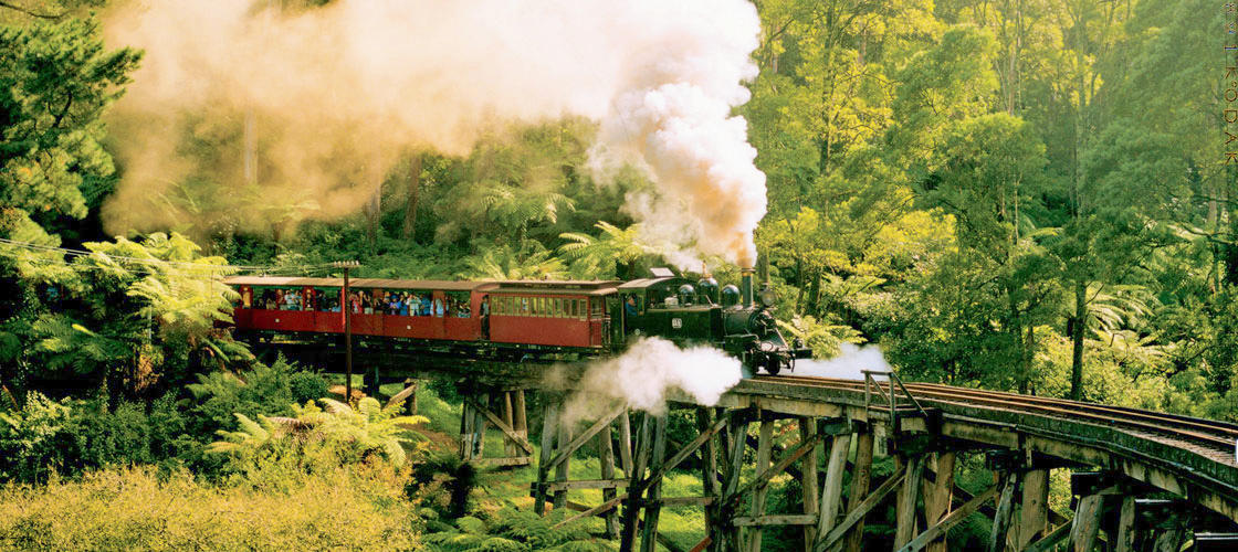 The Dandenong Ranges