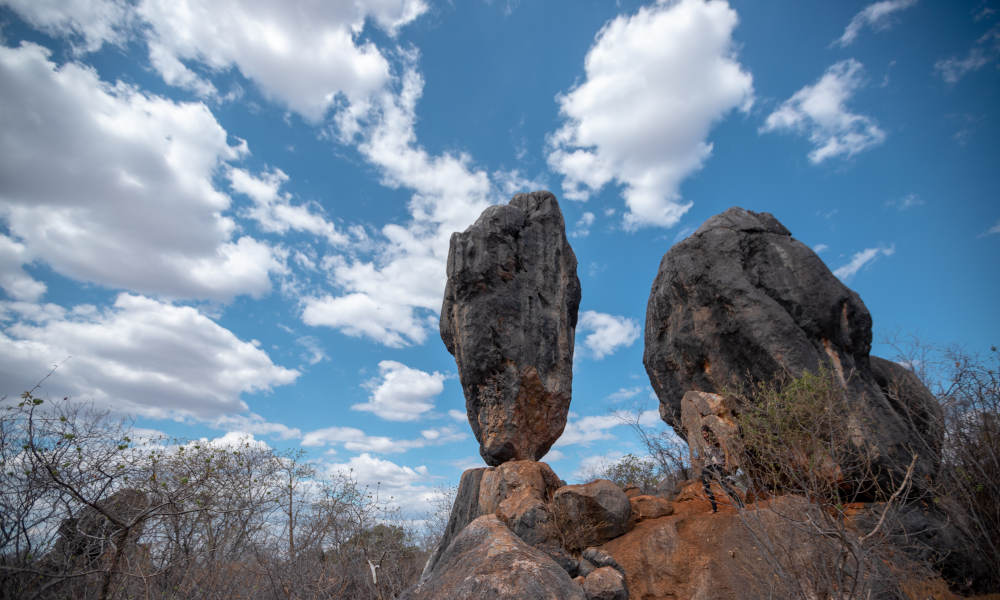 Thumbnail for gallery