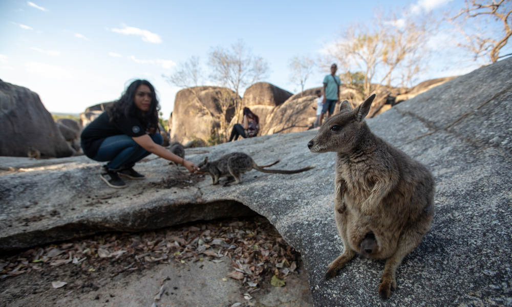 Thumbnail for gallery