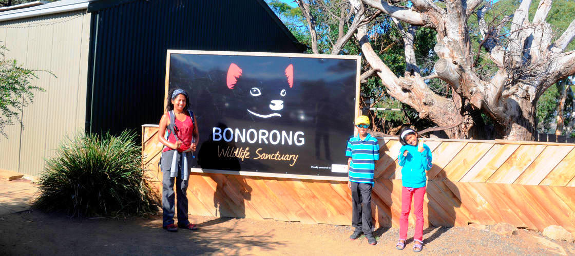 Bonorong Wildlife Sanctuary