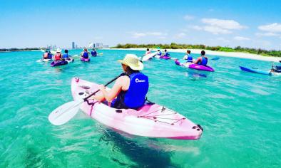 Gold Coast Kayak Tours