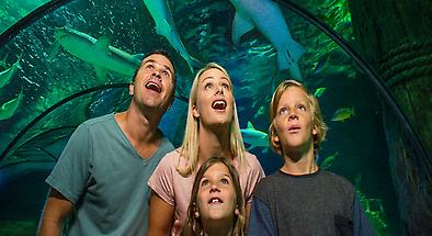 SEA LIFE Sunshine Coast Tickets