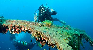 Outer Great Barrier Reef Dive Cruise from Townsville and Magnetic Island