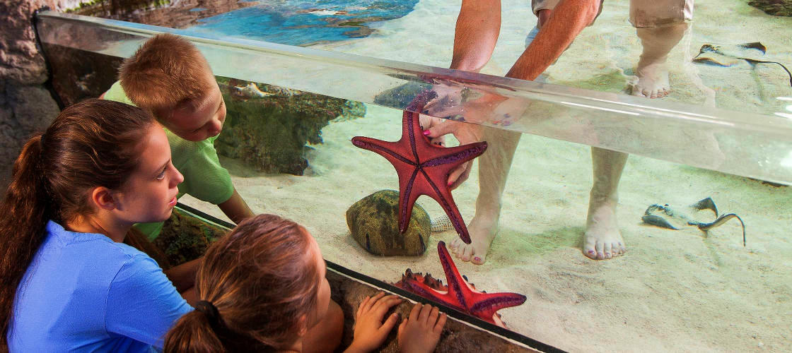 Townsville Reef HQ Aquarium
