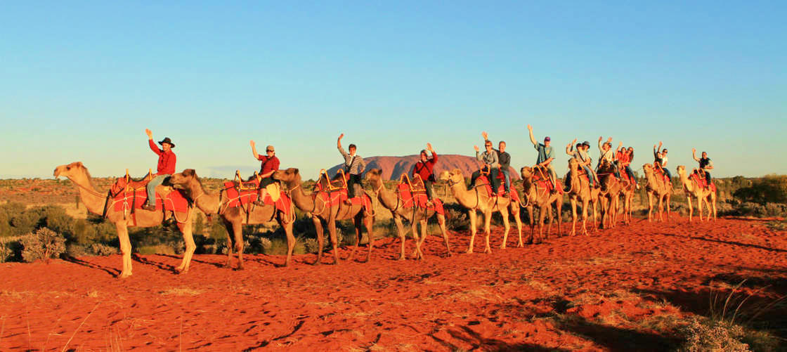 uluru camel tours