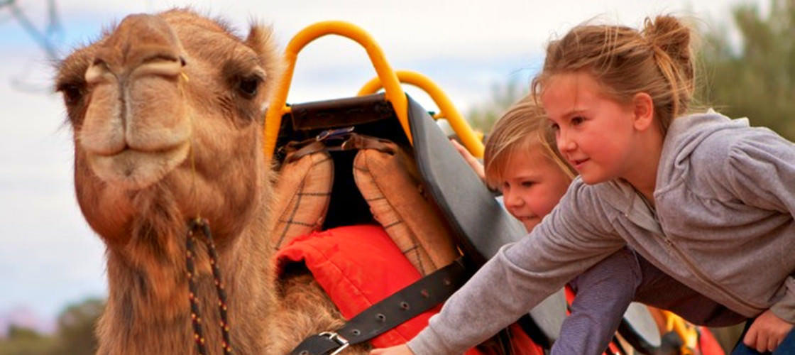 Uluru Camel Tours