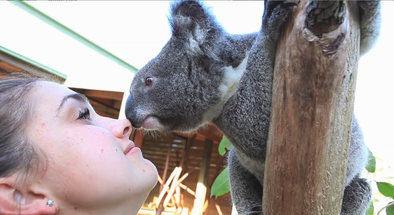 WILD LIFE Hamilton Island General Admission