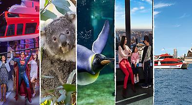 Sydney SUPER SAVER Pass