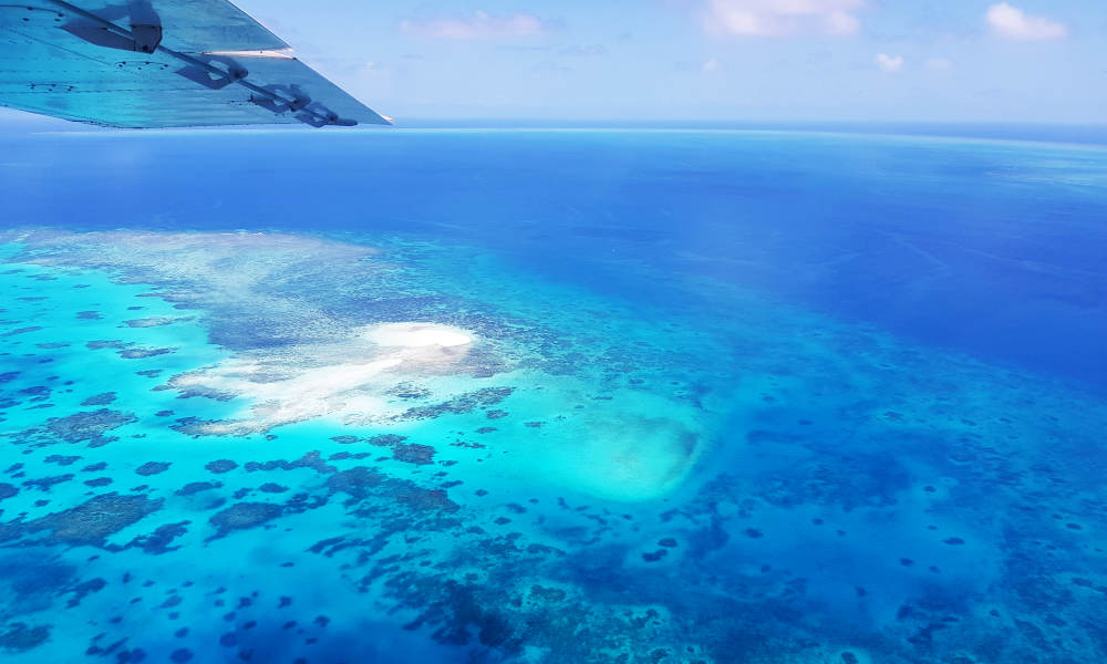 GSL Aviation  Cairns Great Barrier Reef ocean views