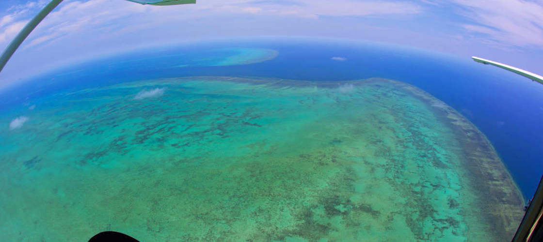 cairns gsl aviation great barrier reef scenic flight