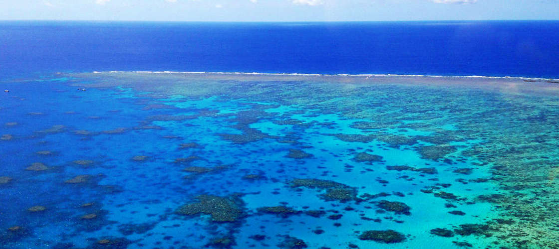 cairns gsl aviation great barrier reef scenic flight