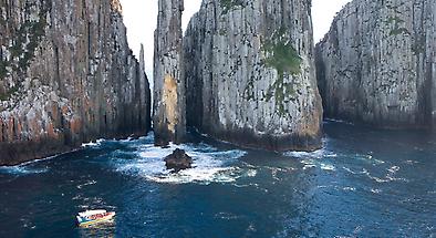 Tasman Island Cruises