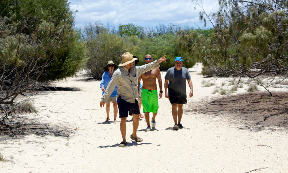 Seaway Kayaking Tours  Gold Coast Kayaking activity 