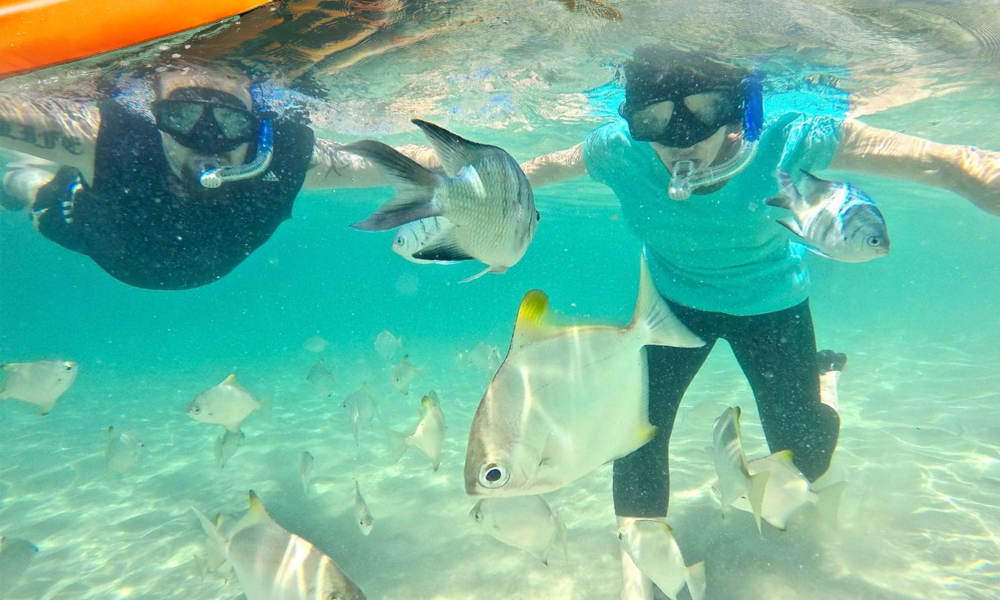 Seaway Kayaking Tours  Gold Coast Kayaking activity snorkelling 