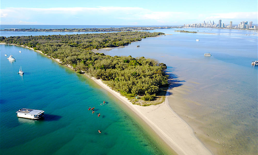 Seaway Kayaking Tours  Gold Coast Kayaking Broadwater 