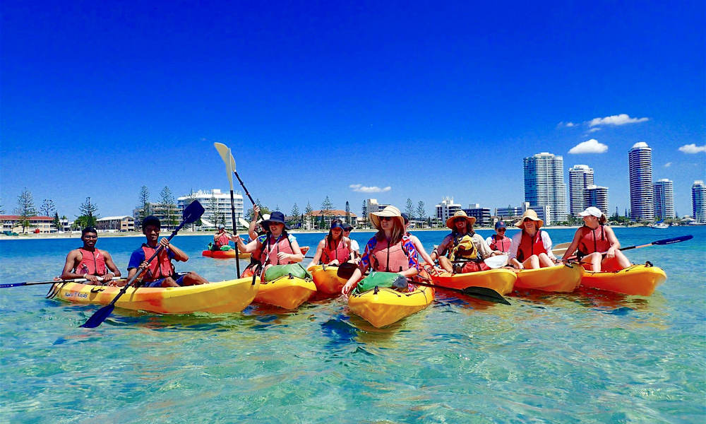 Seaway Kayaking Tours  Gold Coast Kayaking Family Fun 