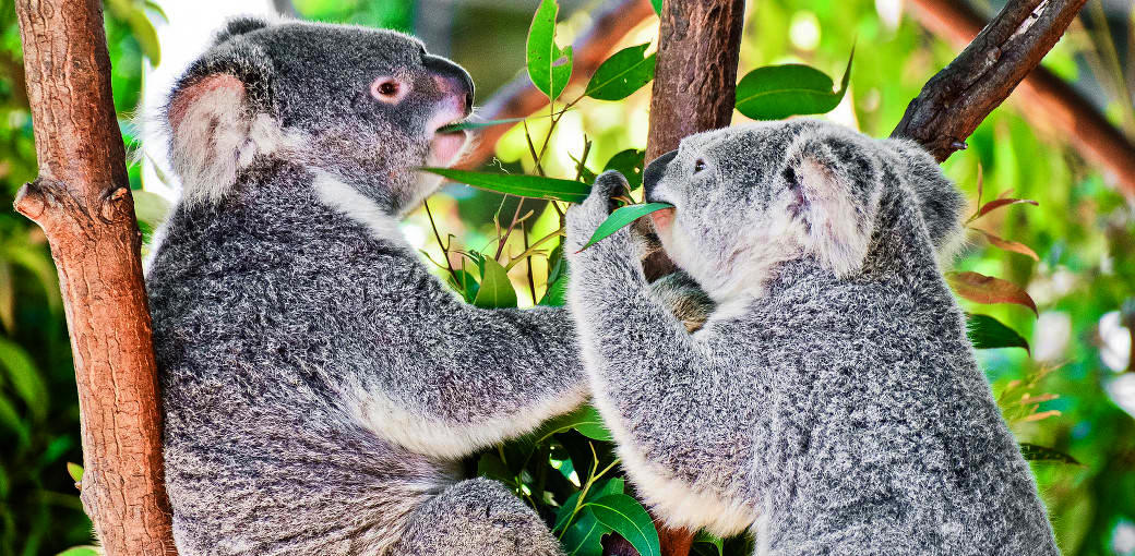 Thumbnail for gallery