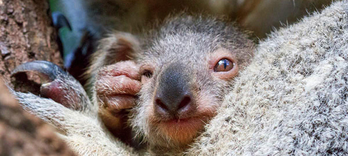 Thumbnail for gallery