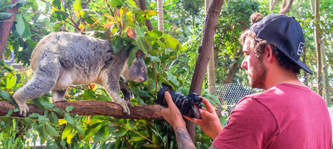 Thumbnail for gallery