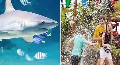 Discounted Pass including SEA LIFE Sunshine Coast and Aussie World