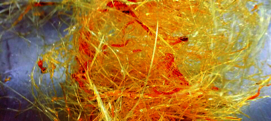 Thumbnail for gallery