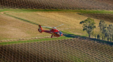 Scenic Helicopter Tour with Healesville Sanctuary Entry