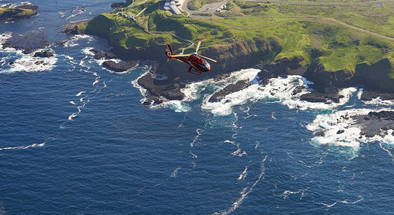 Scenic Helicopter Tour to Phillip Island Penguin Parade