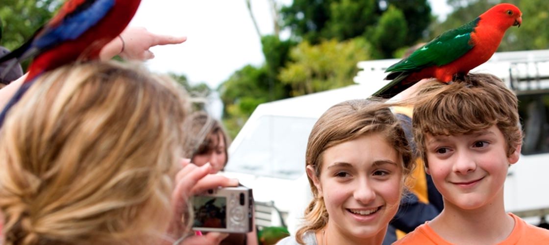 4WD hinterland tour wild birds