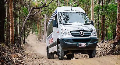 Gold Coast Rainforest 4WD Tours
