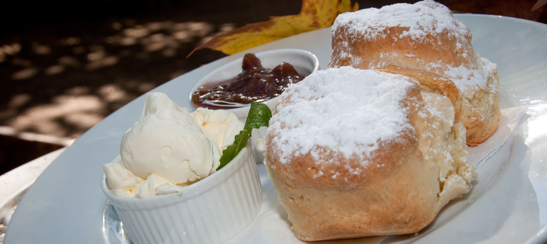 Southern Cross 4WD Tours