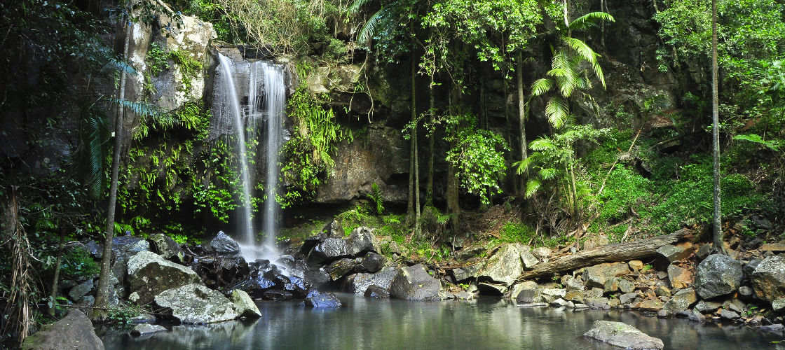 Southern Cross 4WD Tours