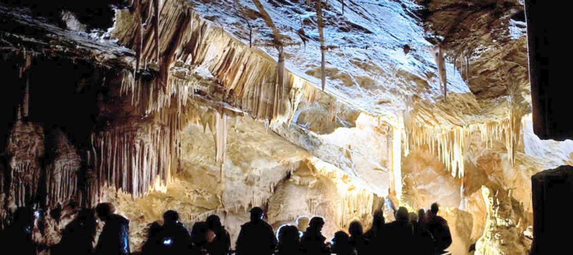 Thumbnail for gallery