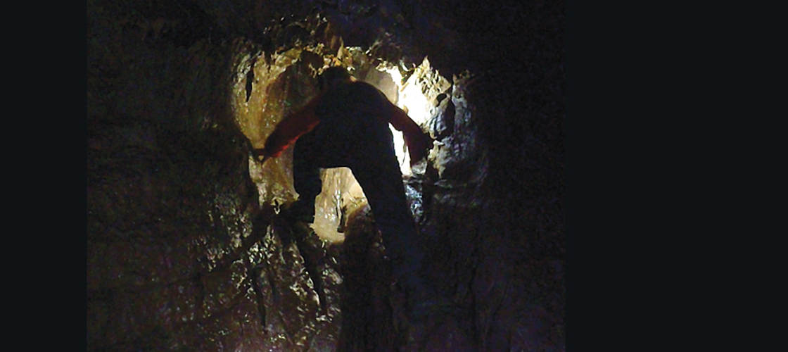 Thumbnail for gallery