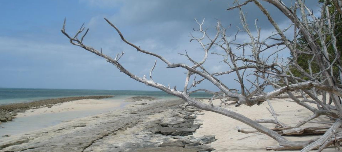 Green Island Full Day Sailing Cruise
