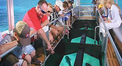 Big Cat Green Island Reef Cruises