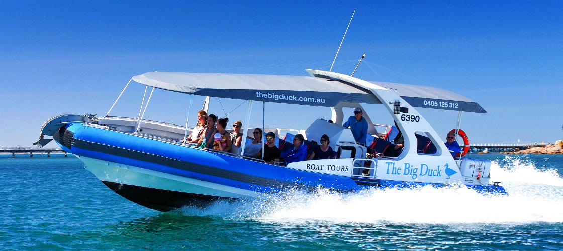 Thumbnail for gallery