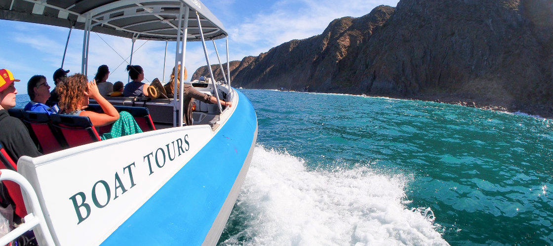 Thumbnail for gallery